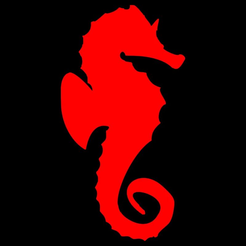 Doux hippocampe rouge comme cadeau