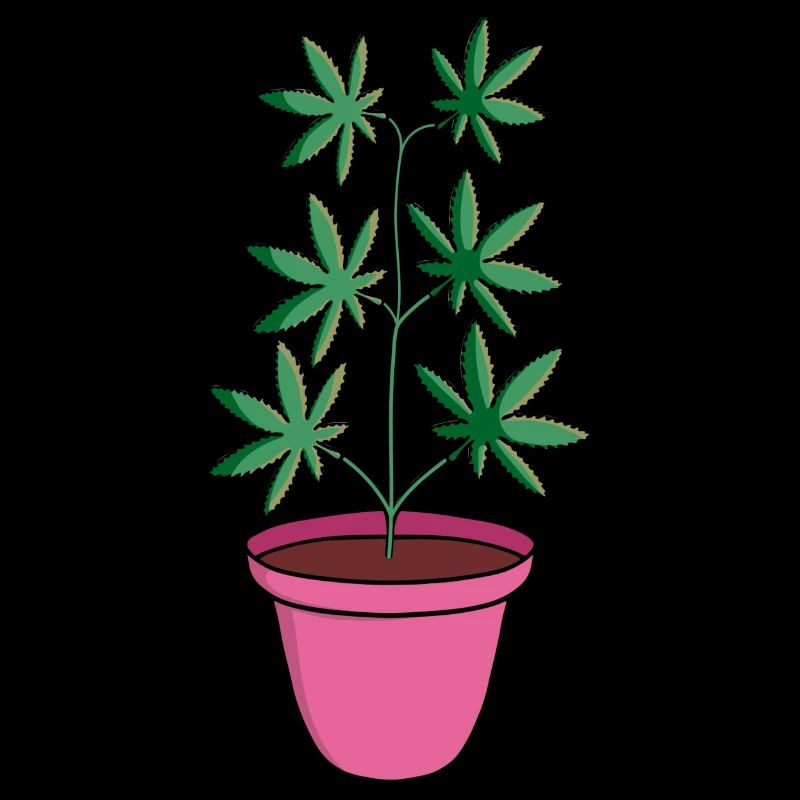 hemp