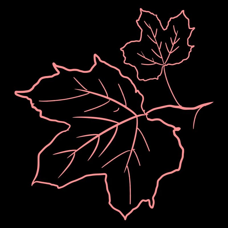 Feuille d’érable / feuilles d’érable, dessin décoratif.