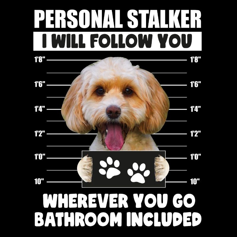 Personal Stalker Dog, Cockapoo, Puppy Lover gift
