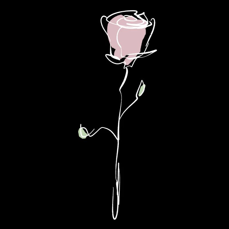 rosa Rosa mit weißer Kontur