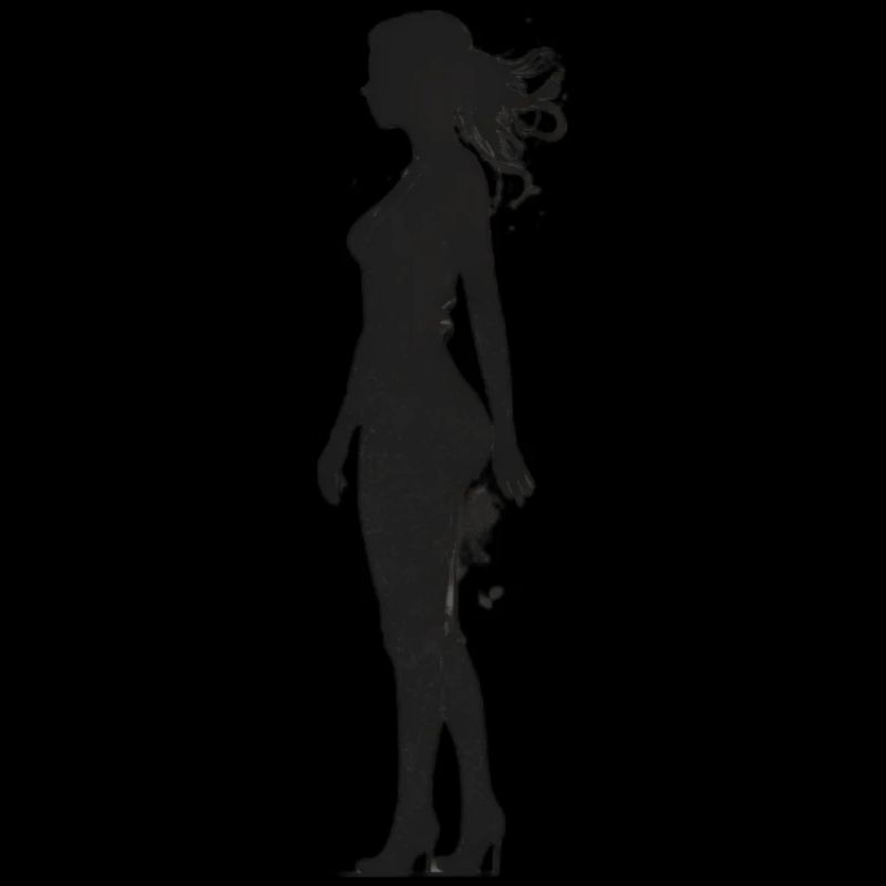 Silhouette
