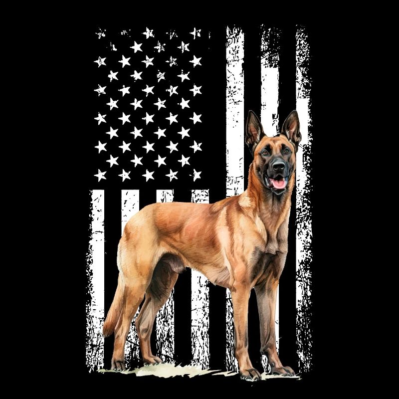 Belgian Malinois