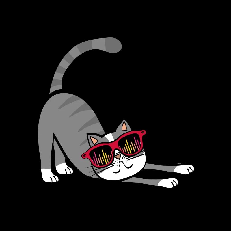 coole Katze
