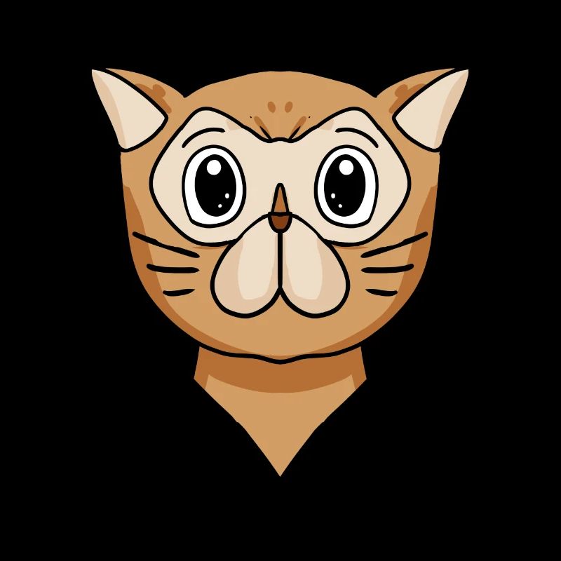 Perserkatze Katzenrasse Katze