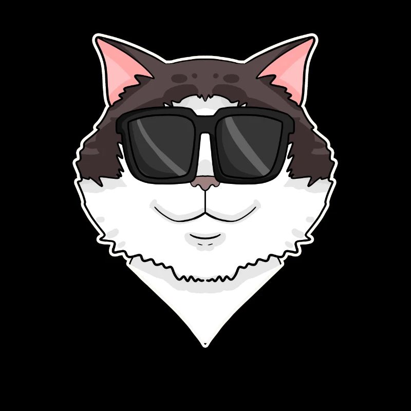 Ragdoll Cat