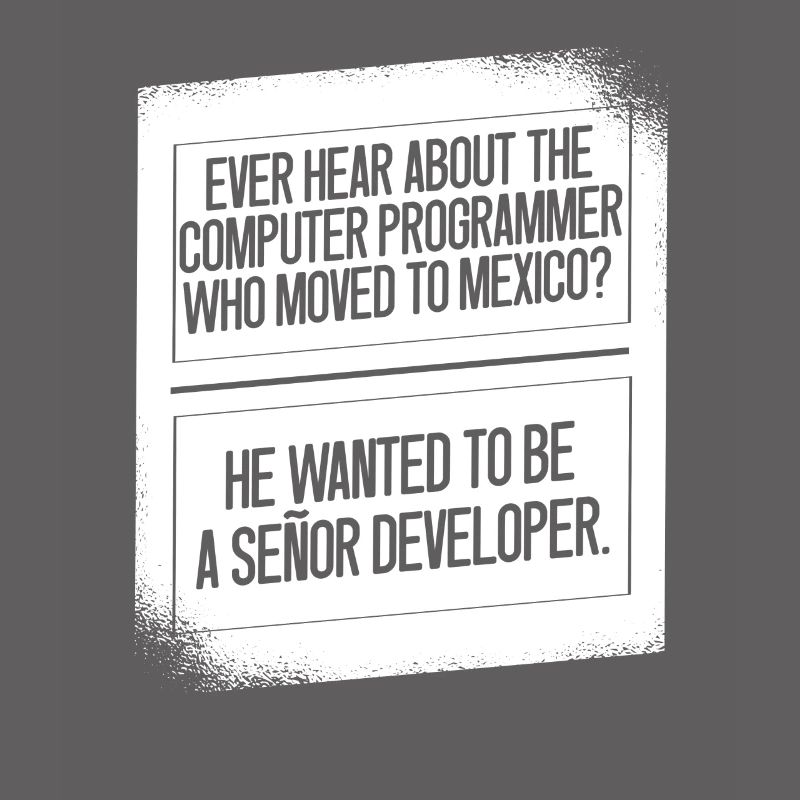 Programmeur Coder Développeur de logiciels