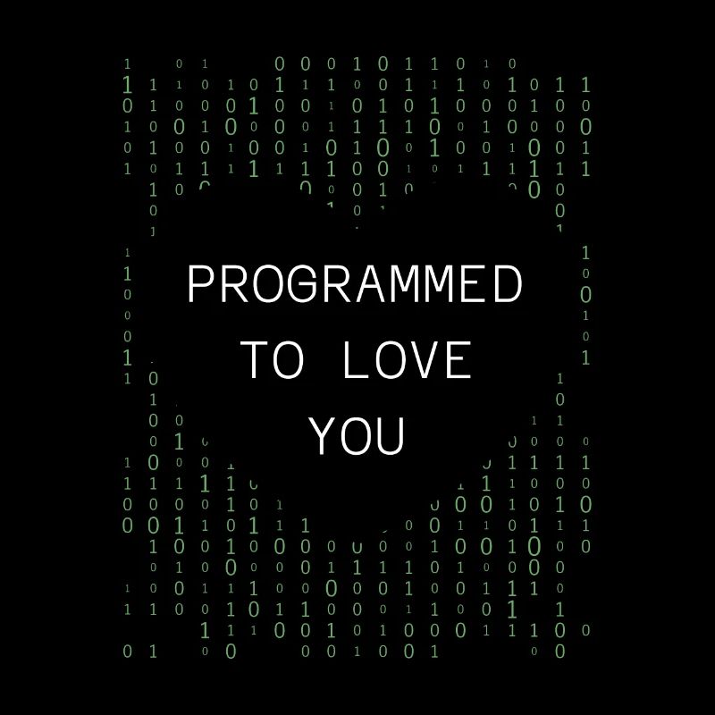 Developer Coder Programmer