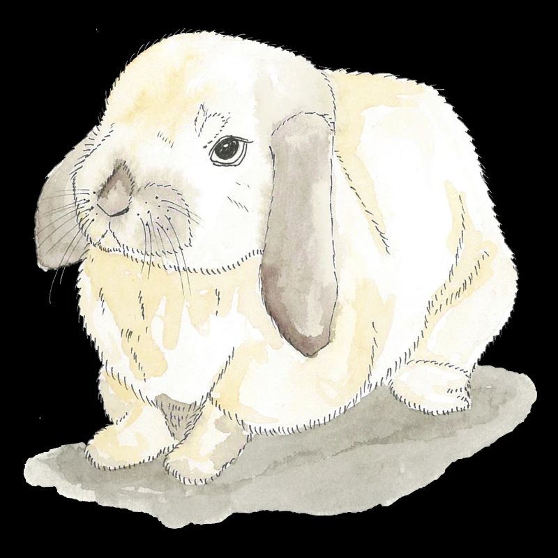 Lapins