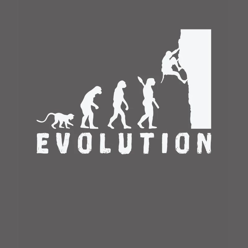 Escalade Bouldern Evolution