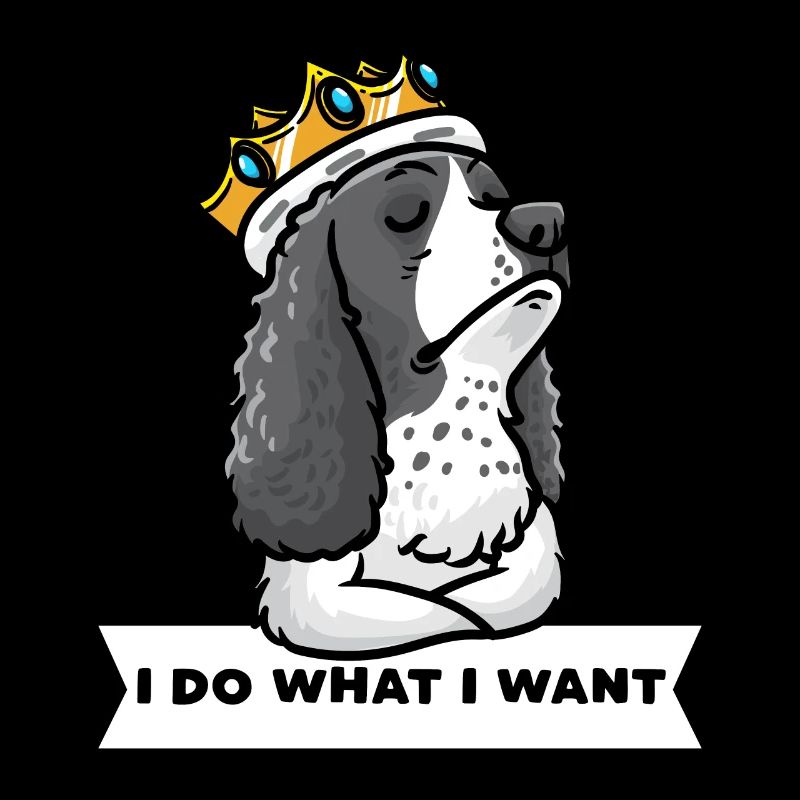 Deutsch Springer Spaniel Dog