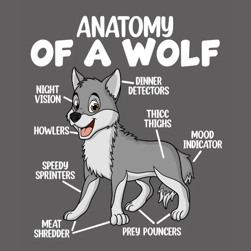Anatomie eines Wolfes