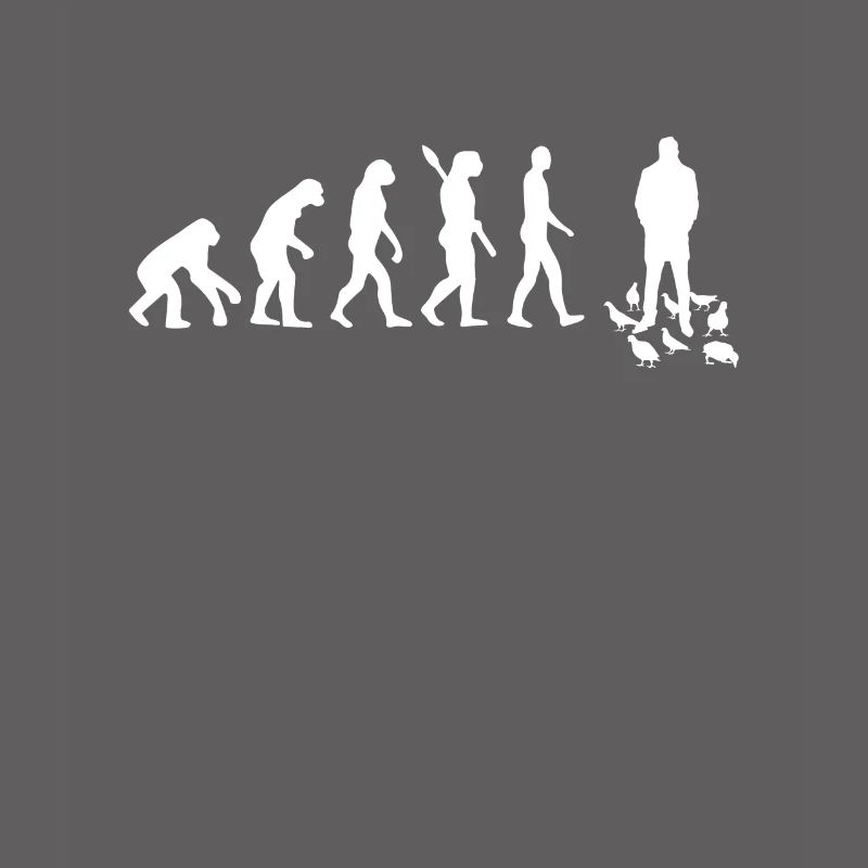 Colombe - Evolution de l'homme / Darwin