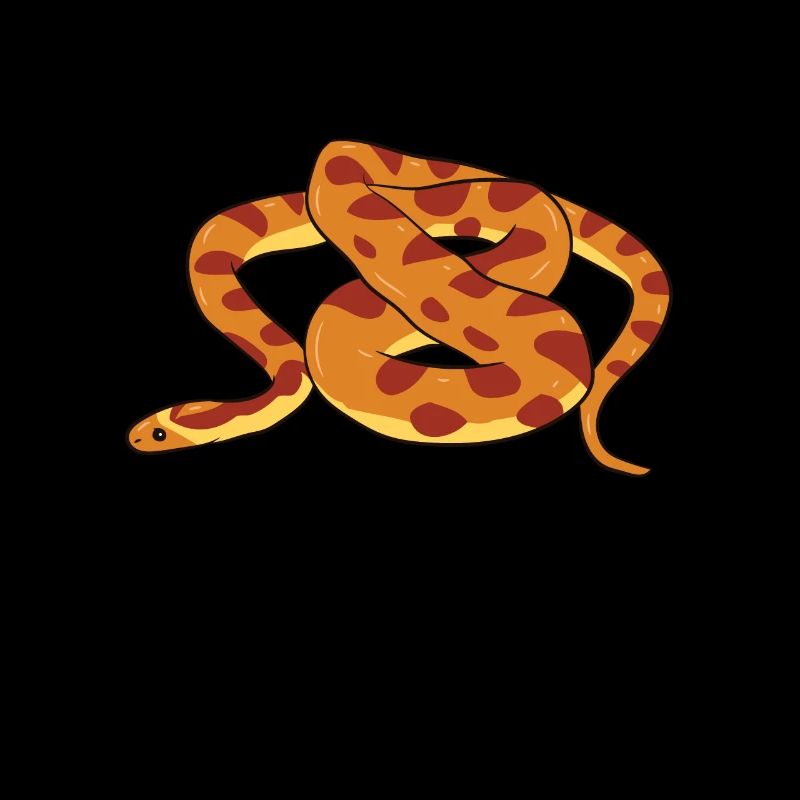 Corn Snake - Coiled up snake