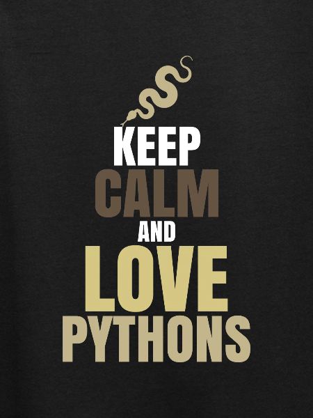Python