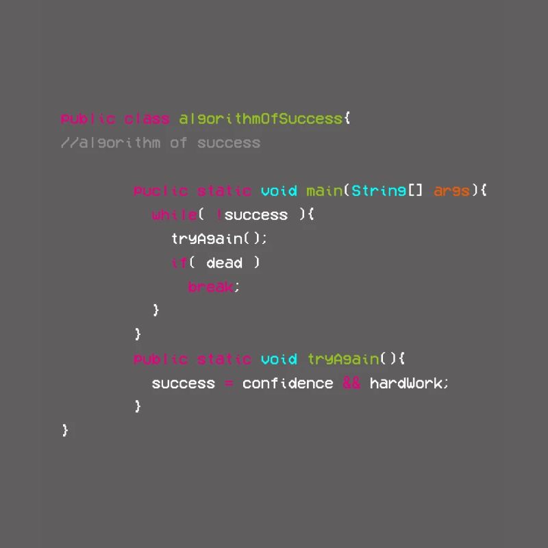 Algorithm Of Success - Coder - Informatiker