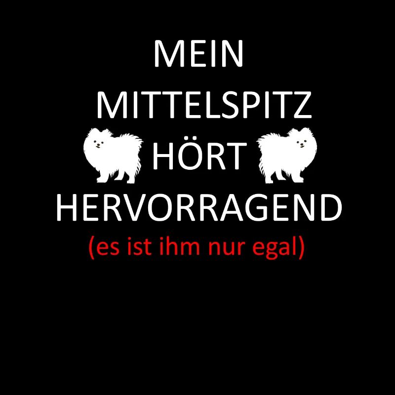 Mittelspitz Deutsche Spitze Hunde Hund