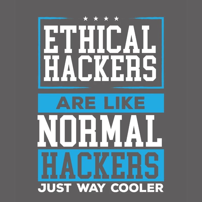 Ethical Hacking Programmer Online Cybersecurity