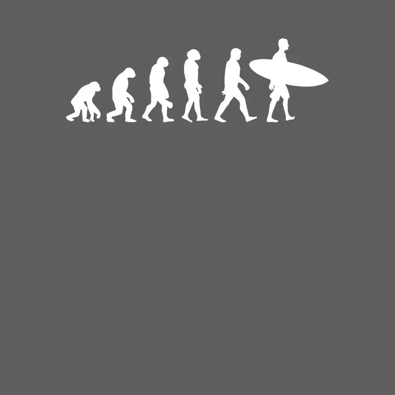Évolution Du Surf