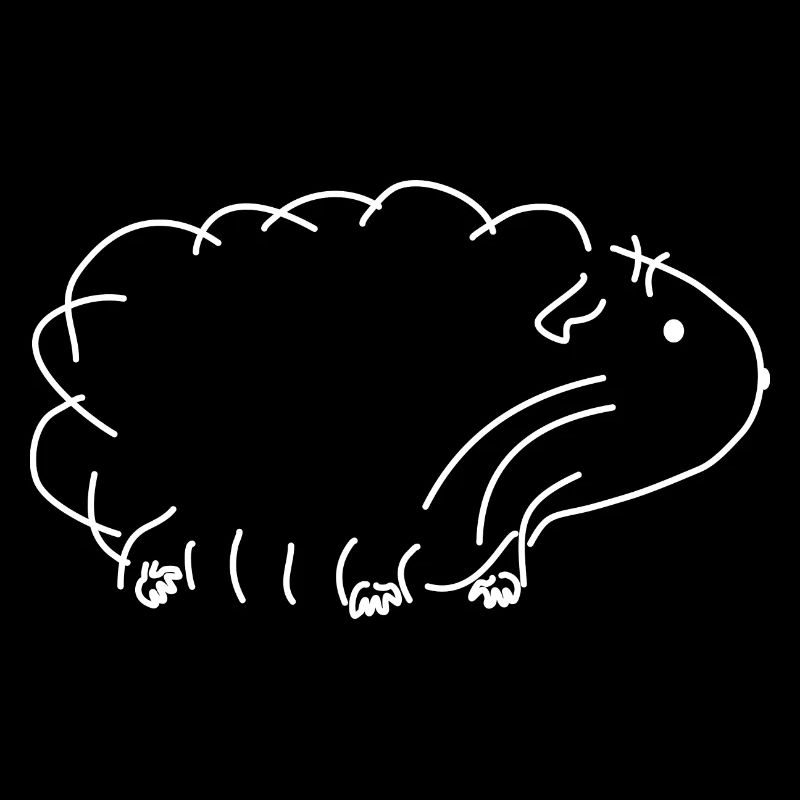 Cochon d'Inde