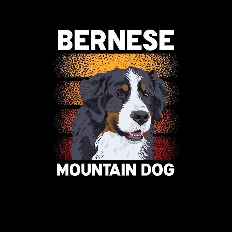 Bouvier bernois