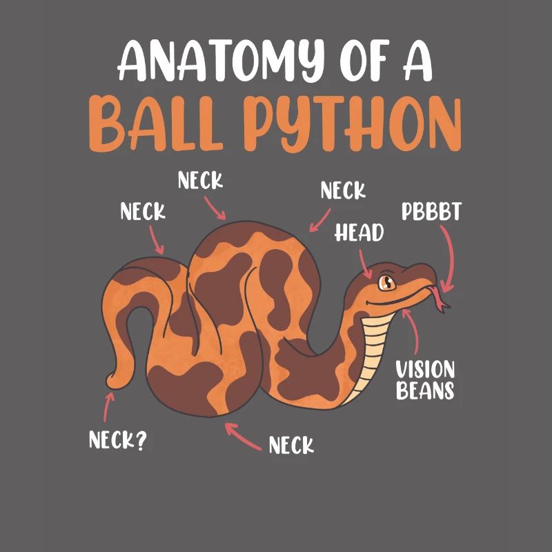 Schlangen Anotomie einer Königspython Ball Python