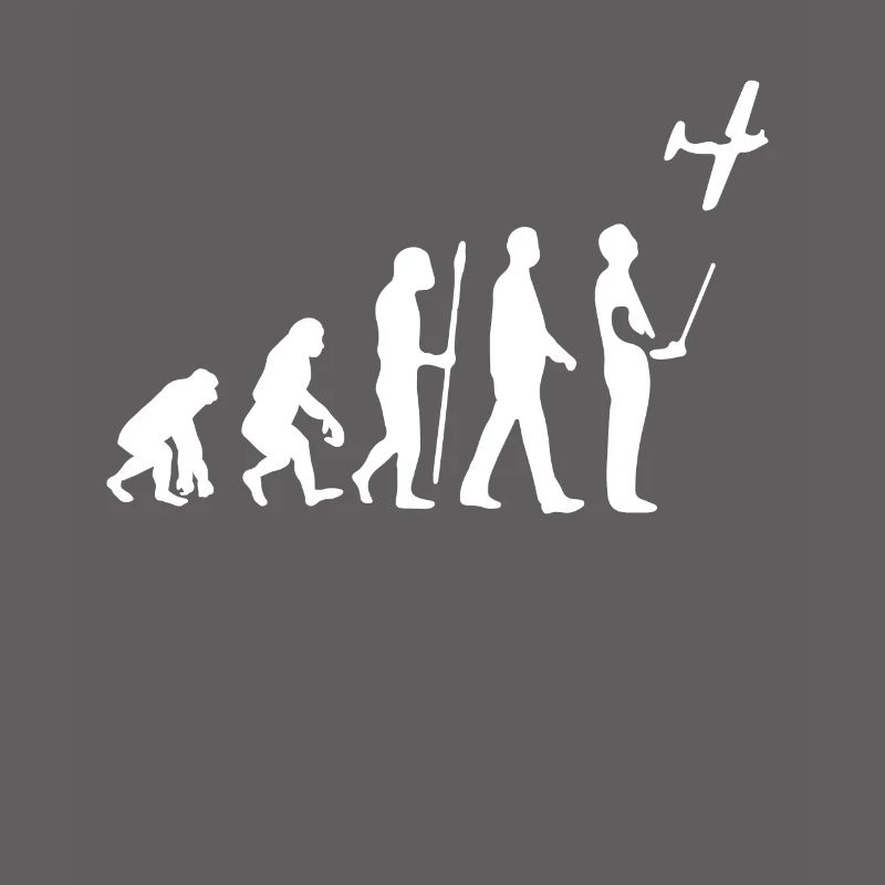 Model Flight Evolution