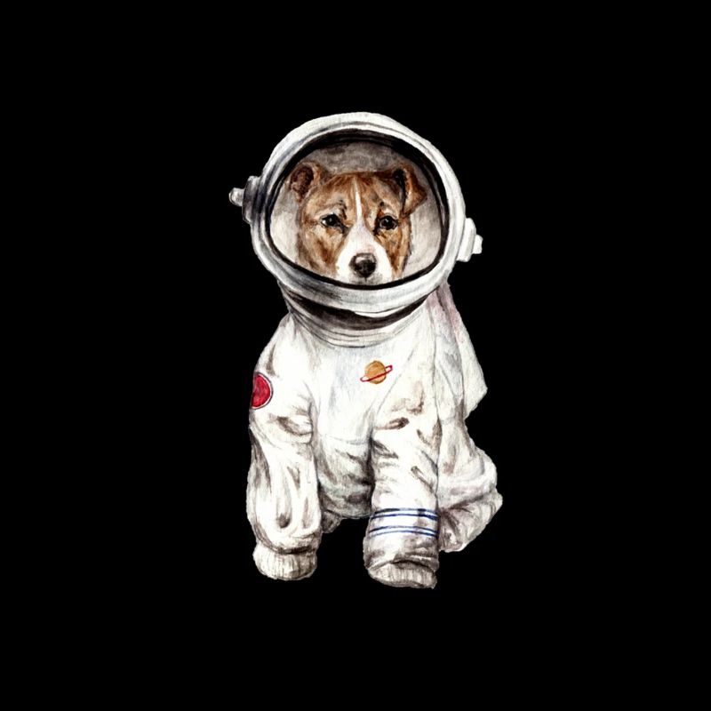Chien en combinaison spatiale Spatiale Spatiale