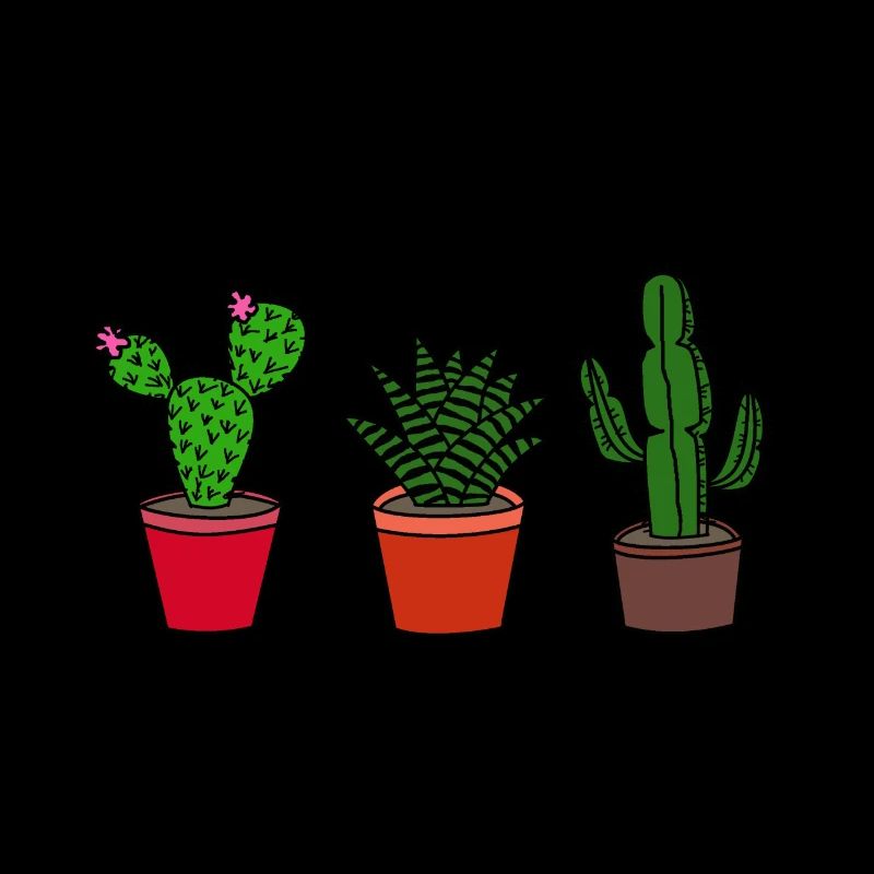 Cacti, cactus