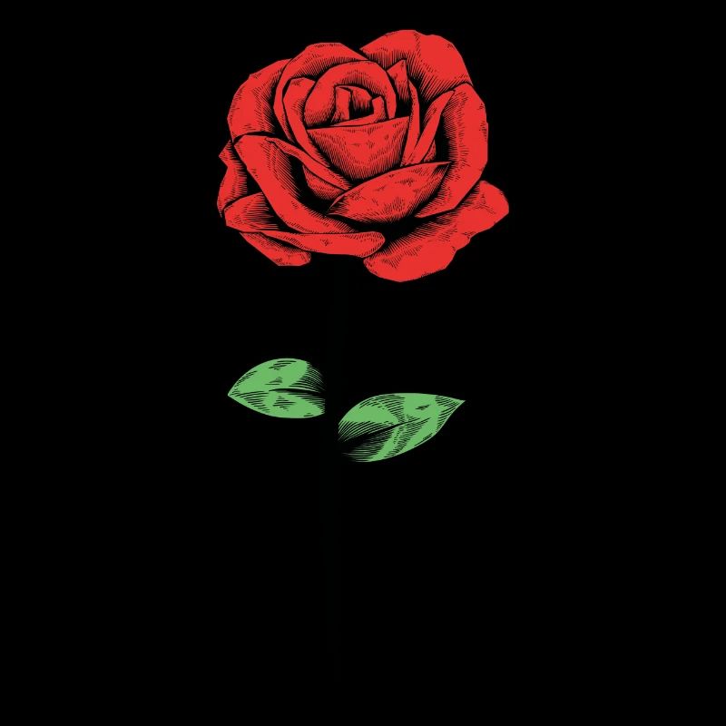 rose flower