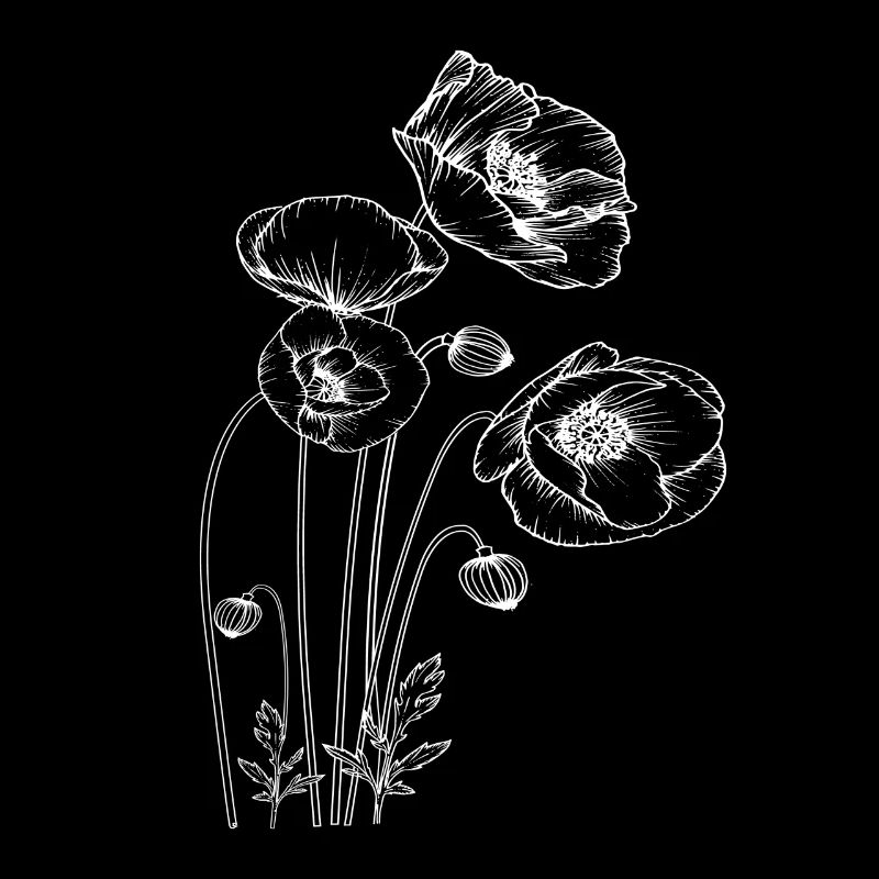 Coquelicot en fleurs blanches Flora Natural