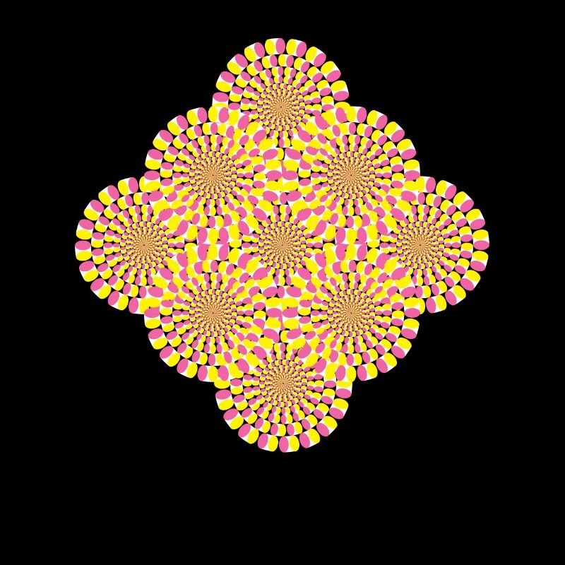 Perception Illusion d’optique Illusion