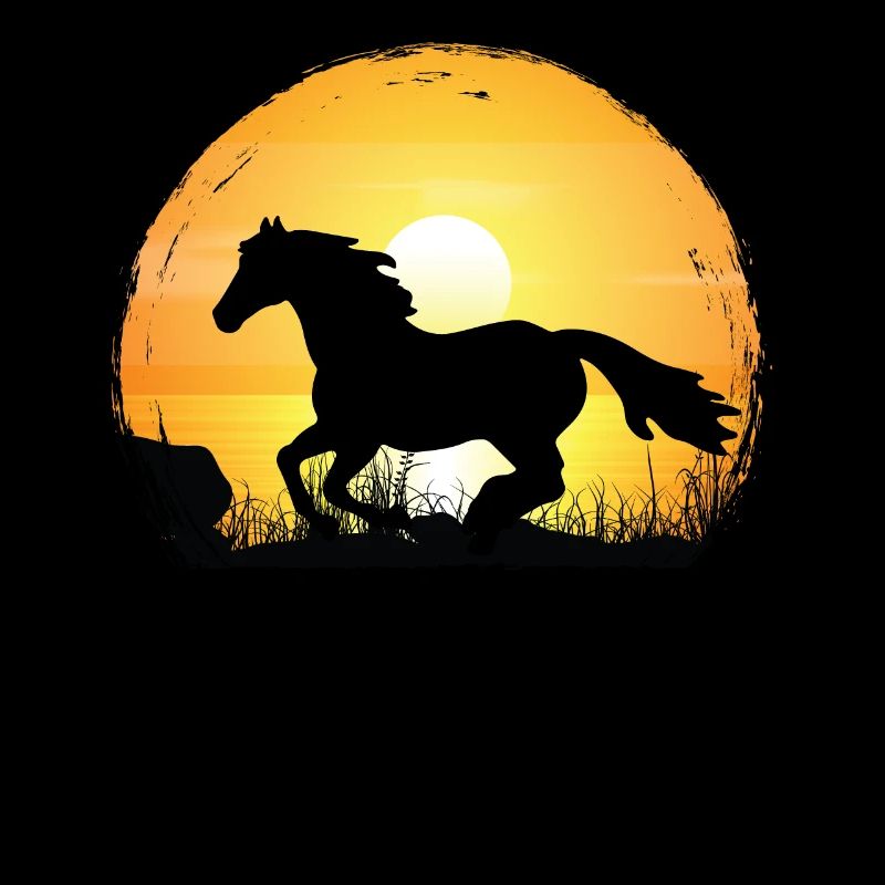 Coucher de soleil - Paint Horse