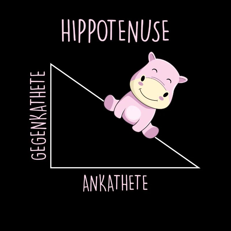 Hippotenuse Professeur de mathématiques