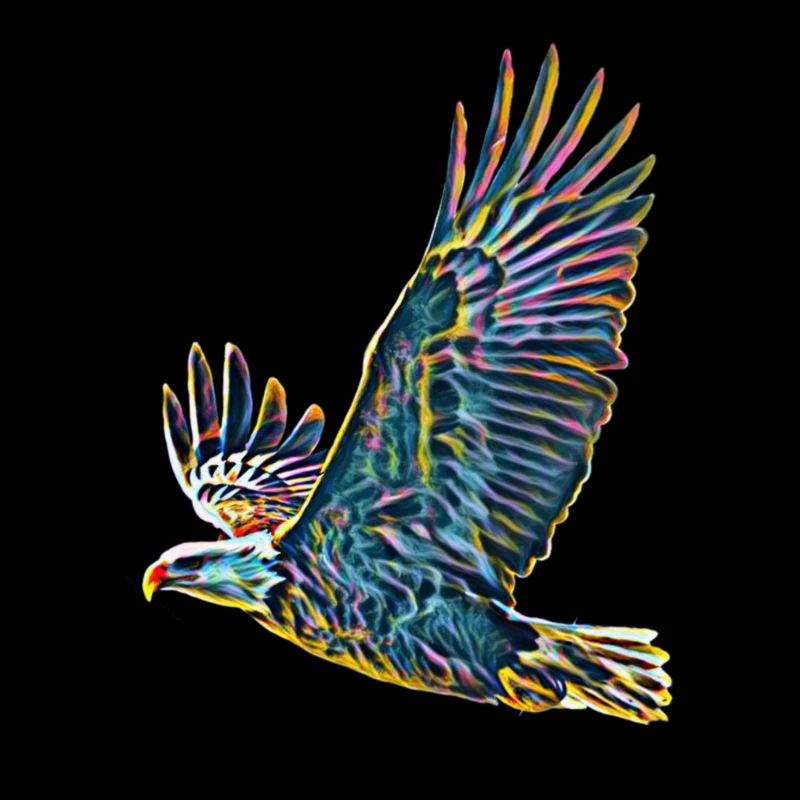 Aigle