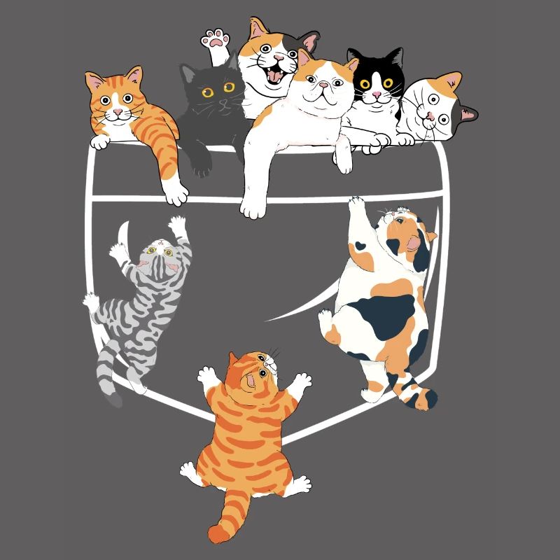 Süße Katzen klettern - originelle Geschenkidee
