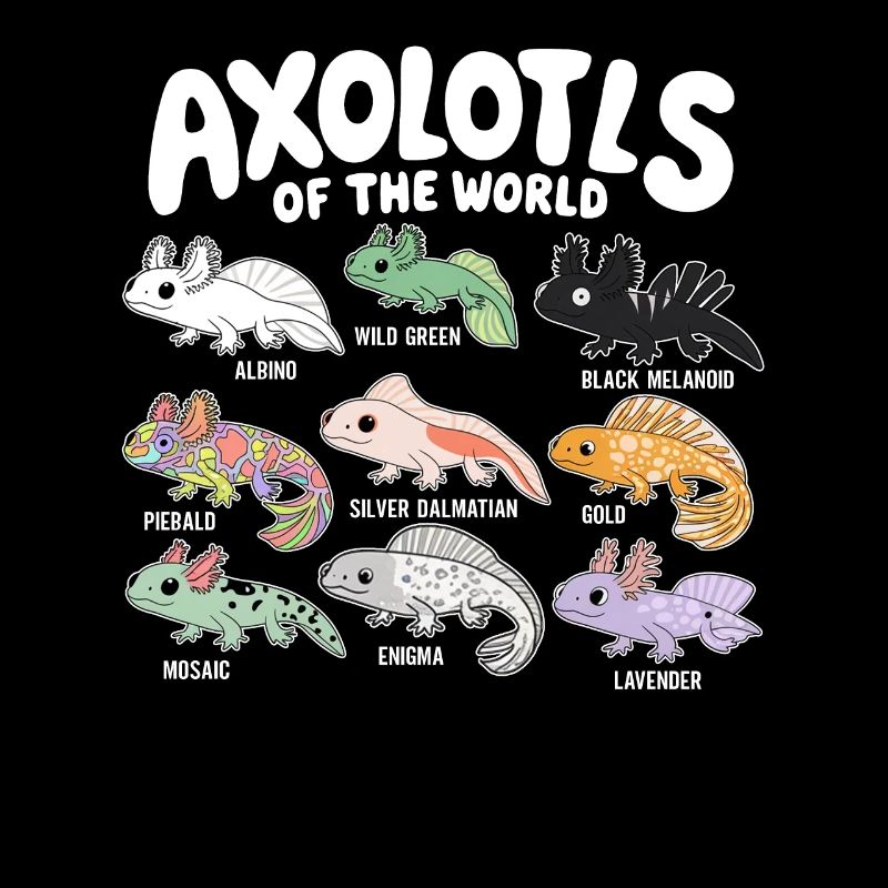 Axolotls Der Welt Süßer Anime Salamander