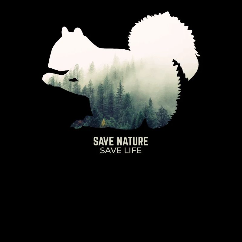 Squirrel in the forest environment climate protection