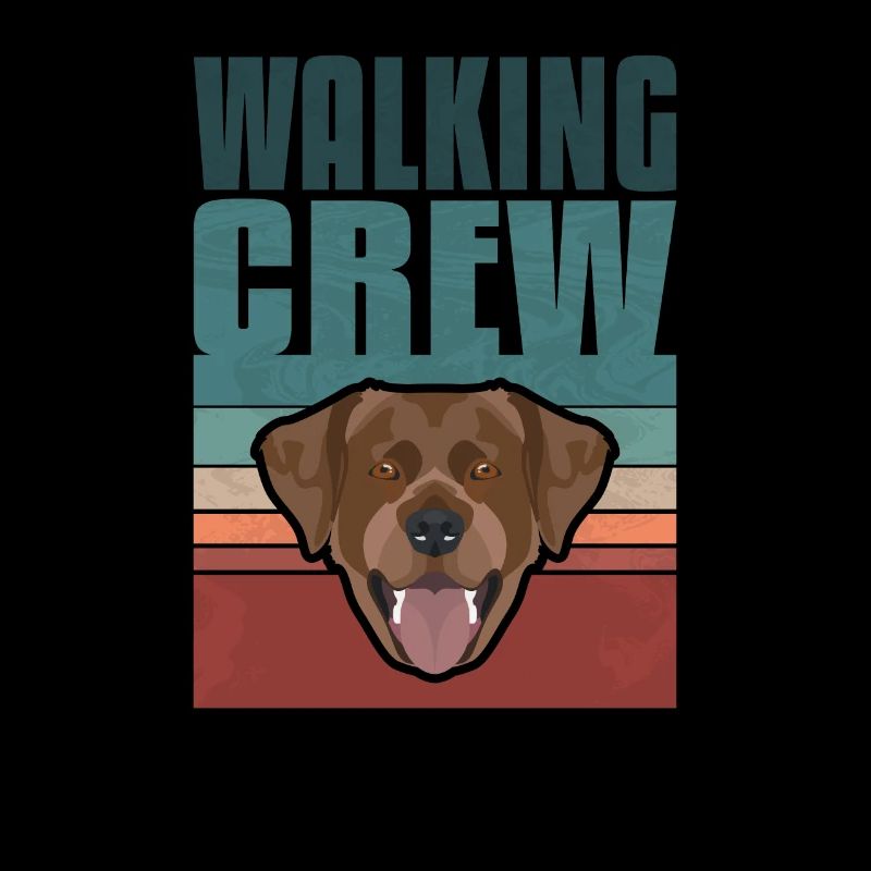 Gassi Crew, Chocolat Labrador, Lab