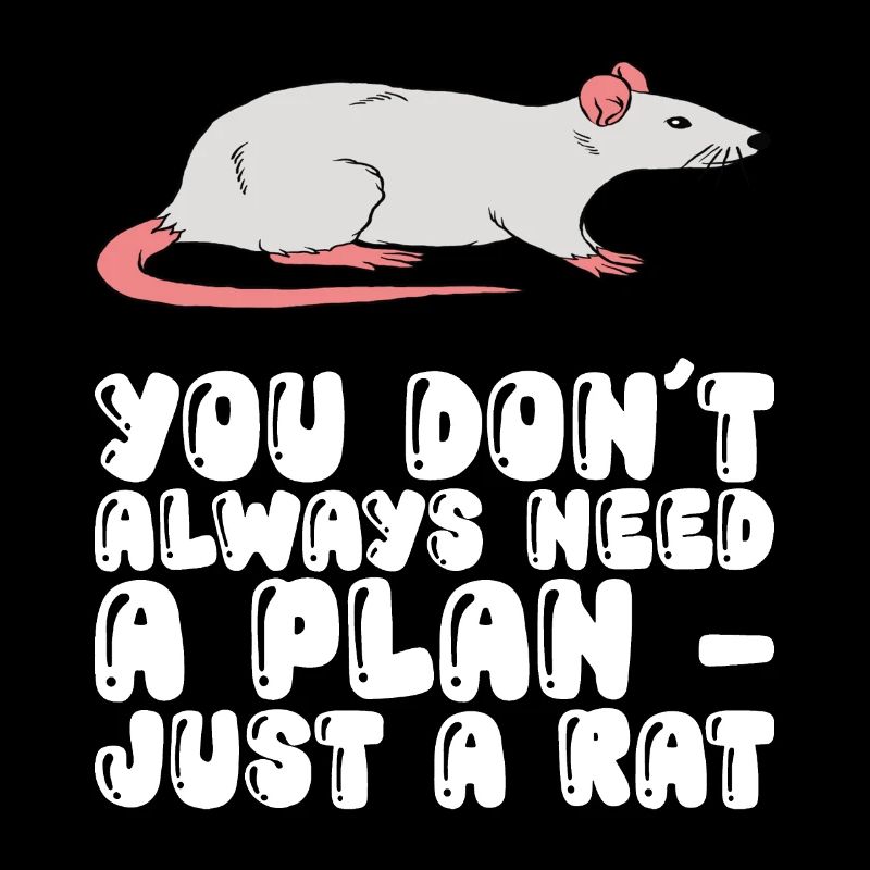 You don't always need a plan, just a rat