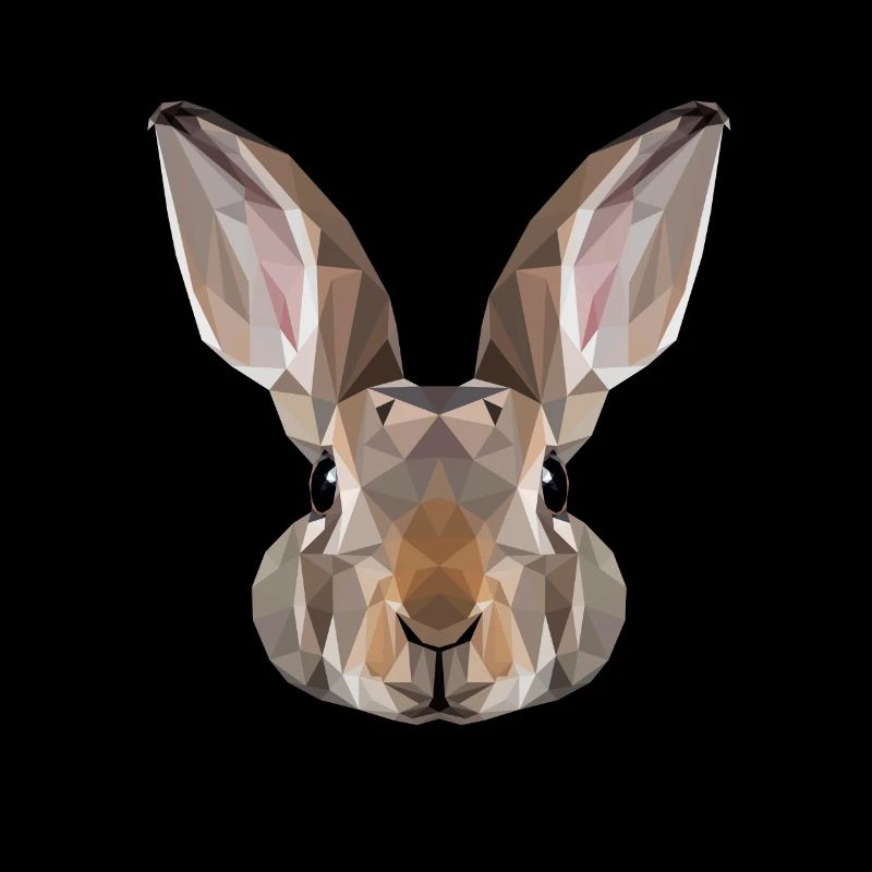 Rabbit Polygon Rabbit Geometric