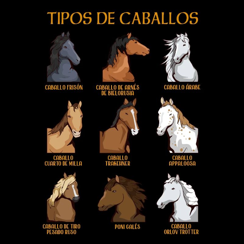 Types de chevaux Équitation espagnole