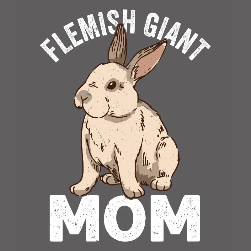 Flemish Giant Rabbit Rabbit Rabbit