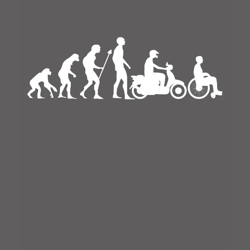 Evolution Moped Roller Mofa Rollstuhl Geschenk
