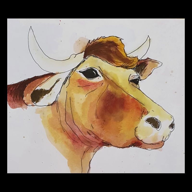 Cool Moo