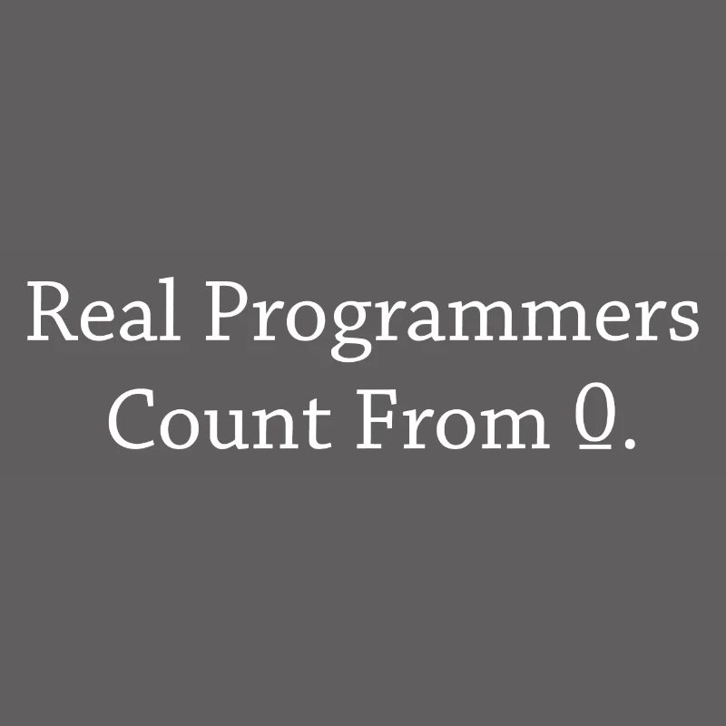 Programmer Coder Software Developer