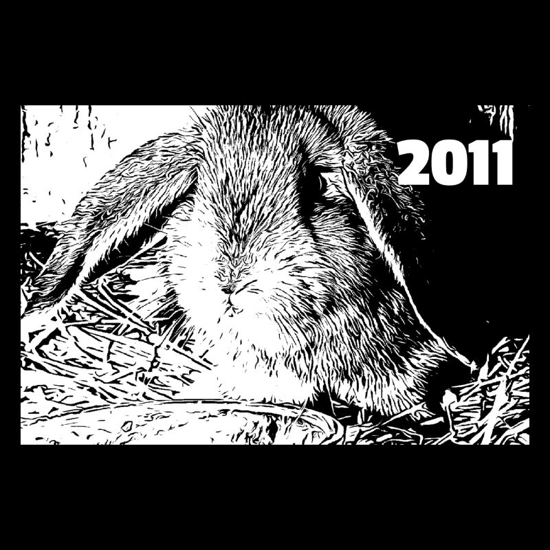 Hase 2011