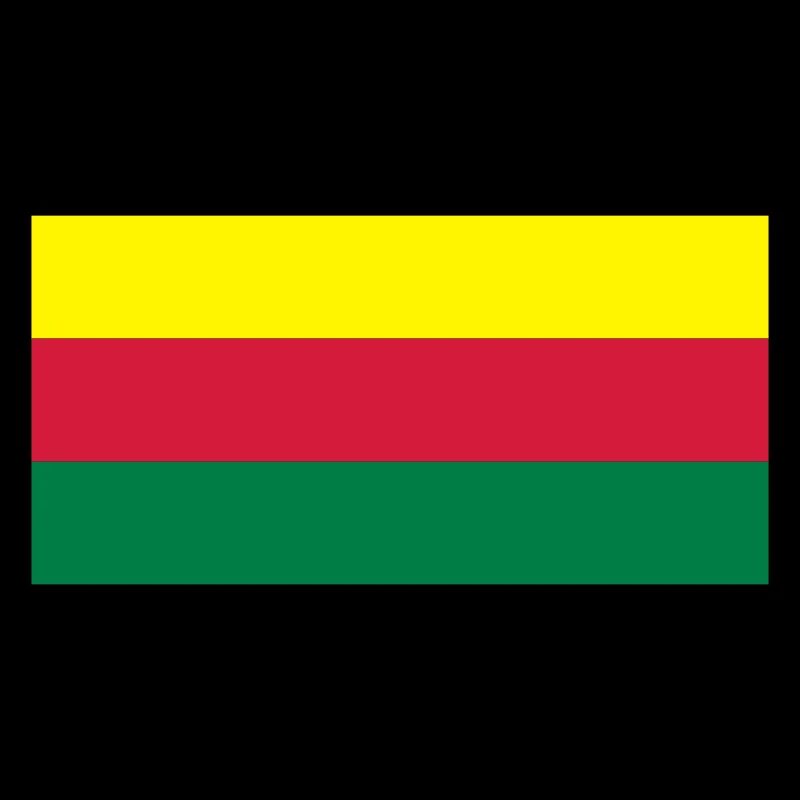 lithuania flag