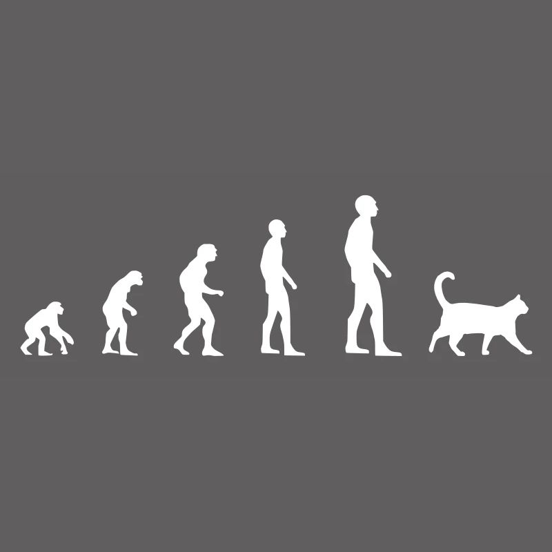 Chat - Evolution