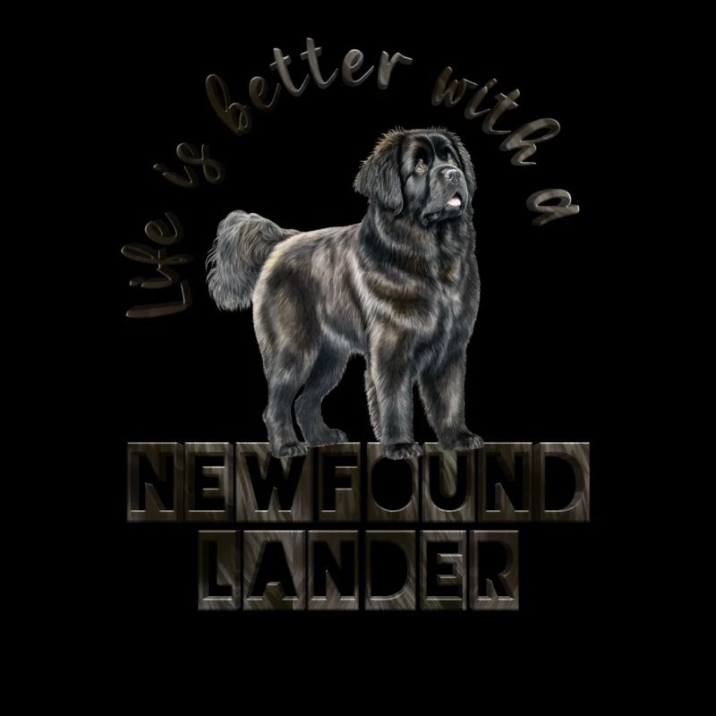 Newfoundlander